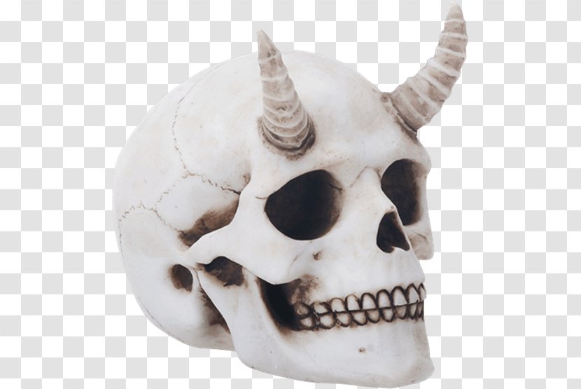 Human Skull Horn Skeleton Calavera - Head - Devil Transparent PNG