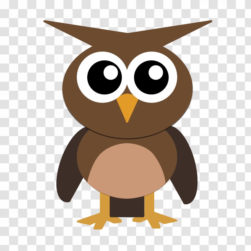 Owl Drawing Bird - Animal - Vector Cute Transparent PNG