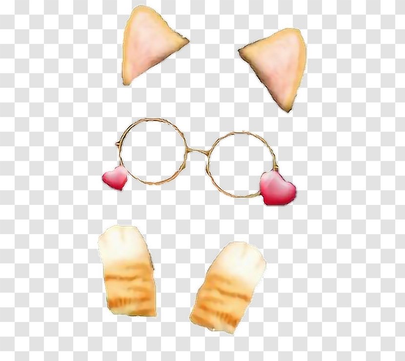 Photographic Filter Photography Image Editing - Sticker - Cat With Glasses Transparent PNG