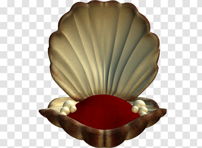 Clip Art Openclipart Image Seashell - Bivalve - Psd People Transparent PNG