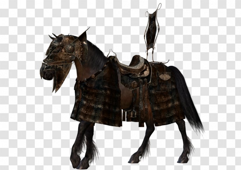 Arabian Horse American Paint Horses In Warfare Rein - War - Knight Transparent PNG