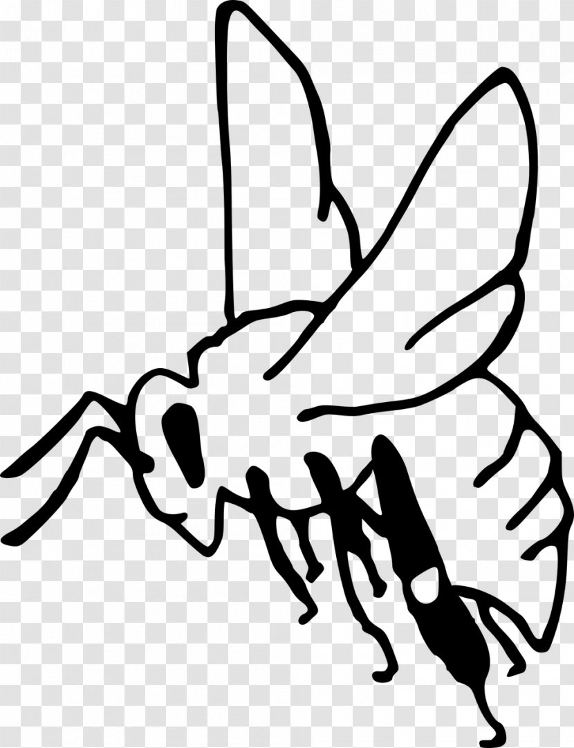 Cartoon Bee - Wing - Crayfish Moths And Butterflies Transparent PNG
