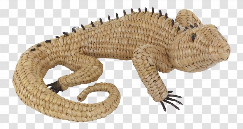 Reptile Terrestrial Animal - Iguana Transparent PNG