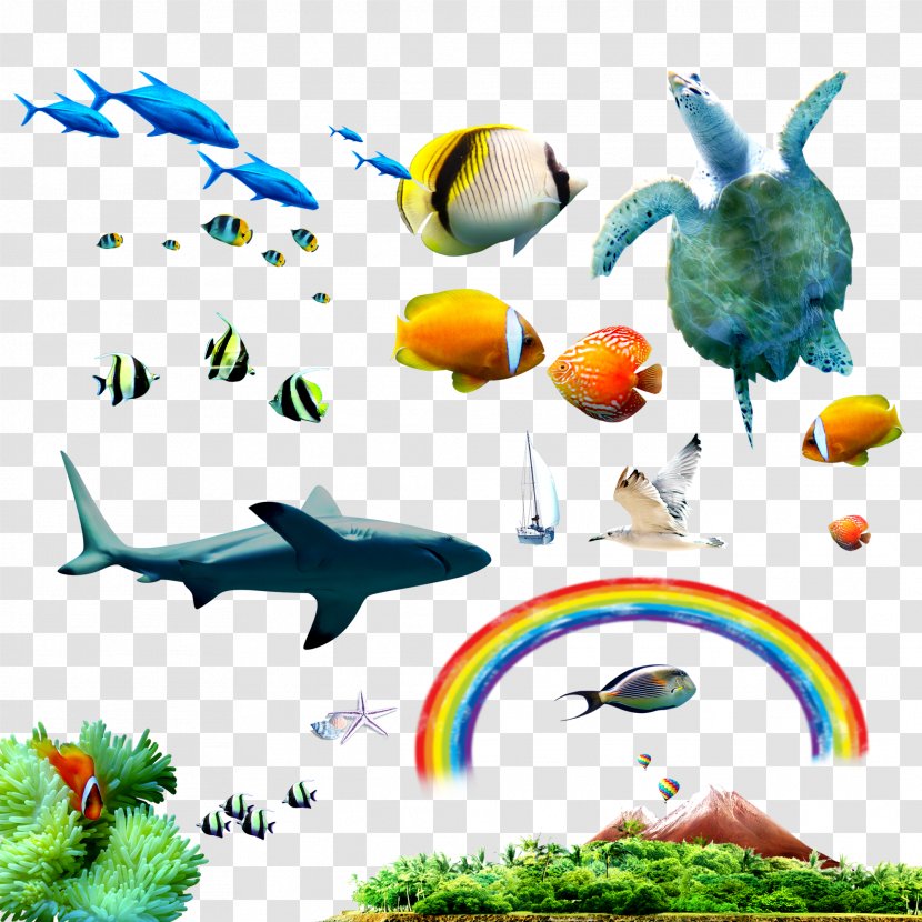 Tropical Fish Sea Clip Art - Fauna - Seabed Material Package Transparent PNG