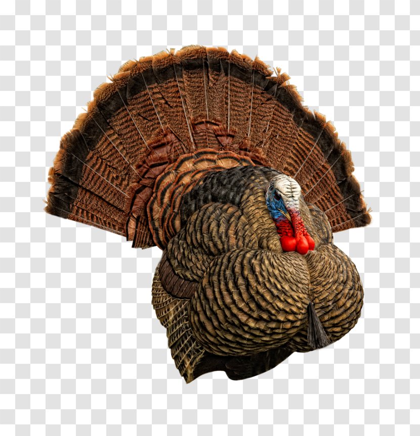 Decoy Strut Turkey Hunting Snood - Gun Shop - Subdominant Transparent PNG