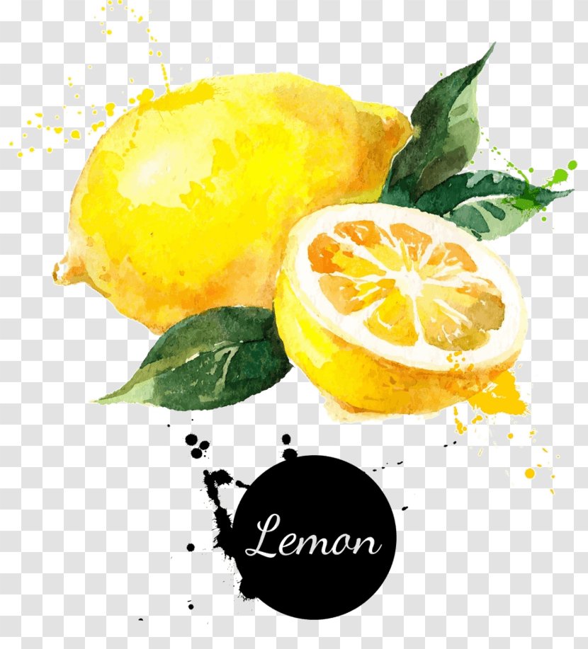 Vector Graphics Royalty-free Stock Photography Drawing Lemon - Food - Background Transparent PNG