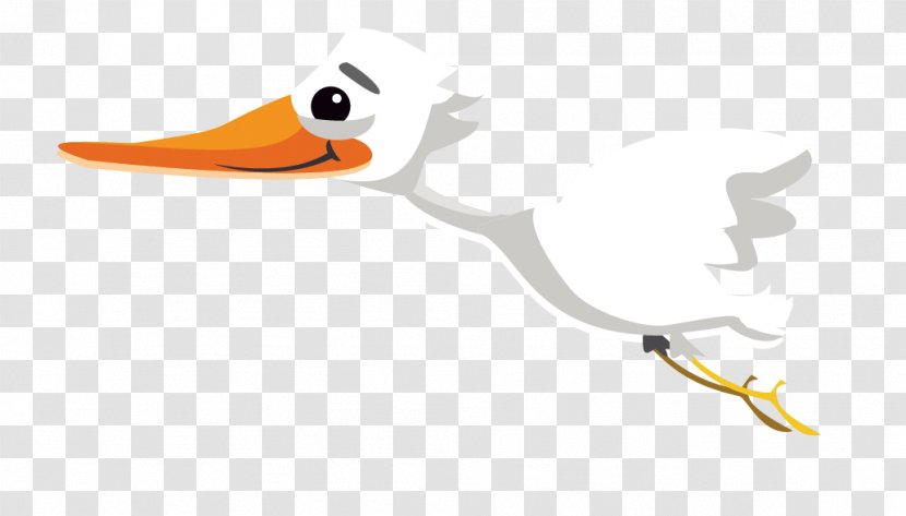 Duck Bird Cygnini Cartoon Illustration - Swan Transparent PNG