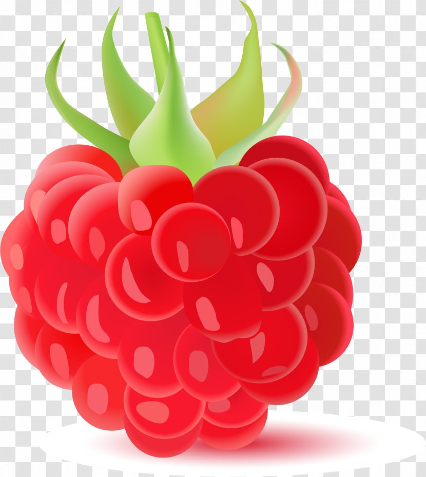 Frutti Di Bosco Fruit Cherry Sweetness - Sweet - Vector Hand-painted Raspberry Transparent PNG