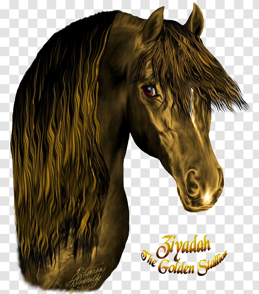 Mustang Stallion Pony Halter Pack Animal - Snout Transparent PNG