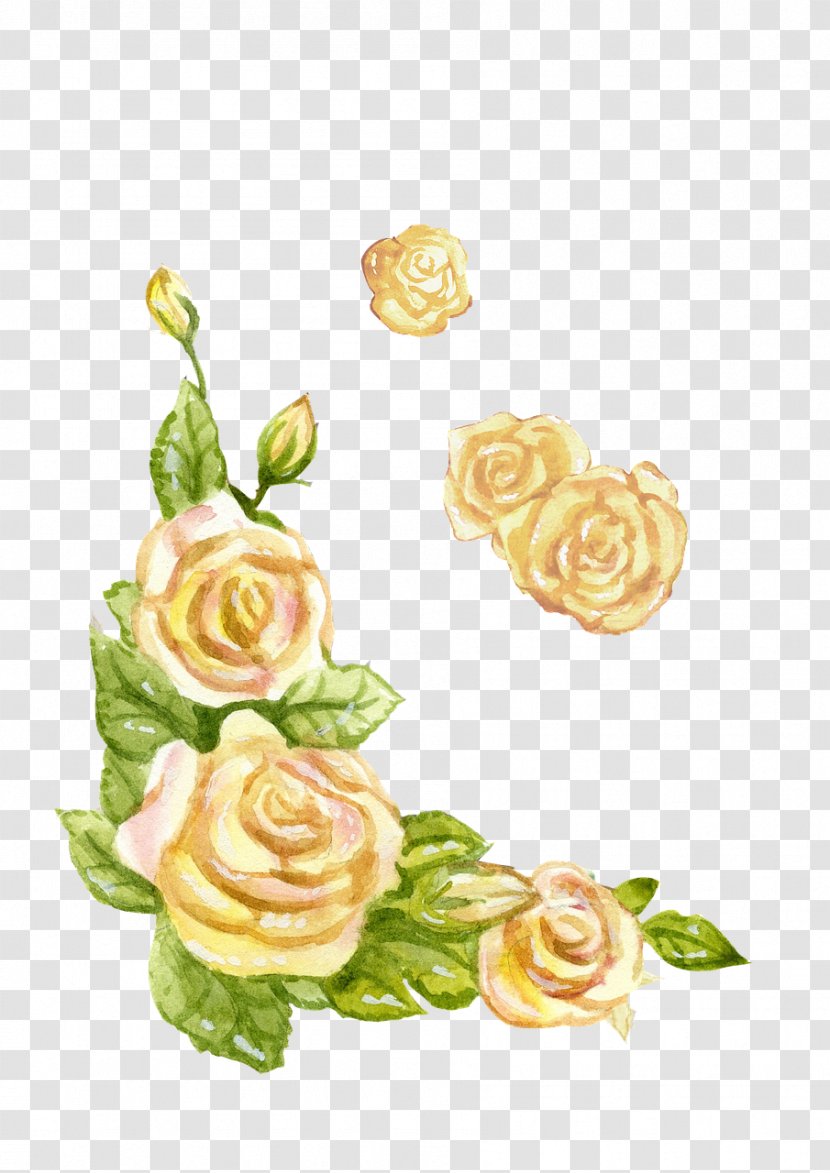 Watercolour Flowers Watercolor Painting - Rose Family Transparent PNG