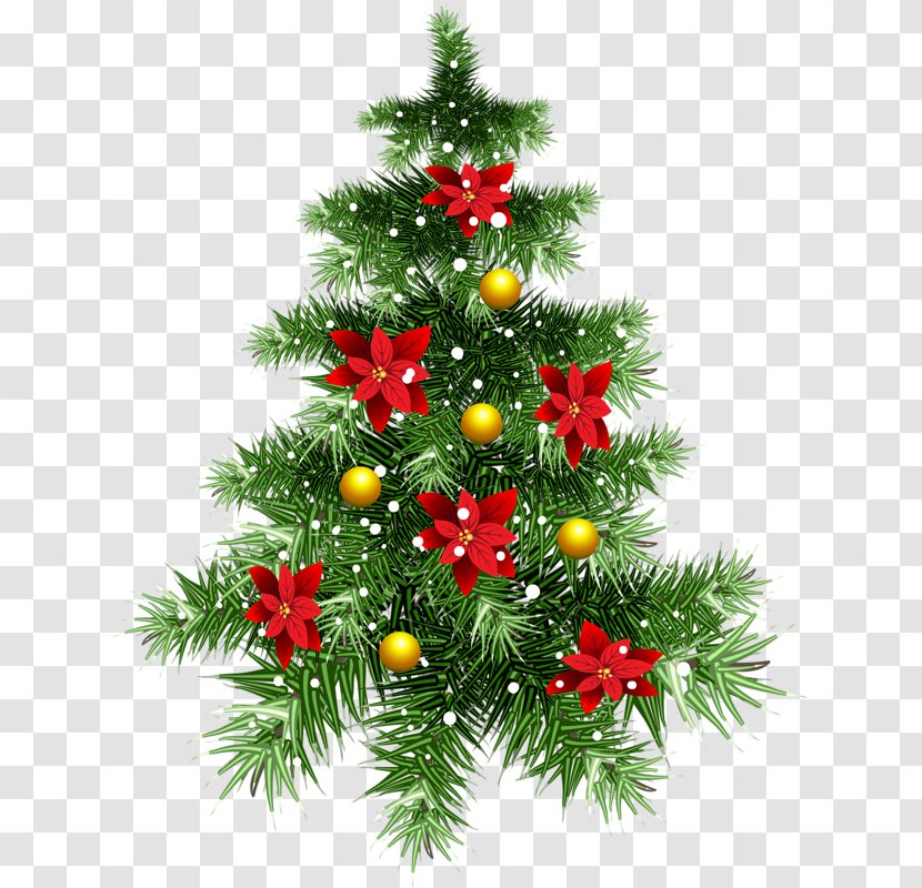 Christmas Tree - Spruce - Card Transparent PNG