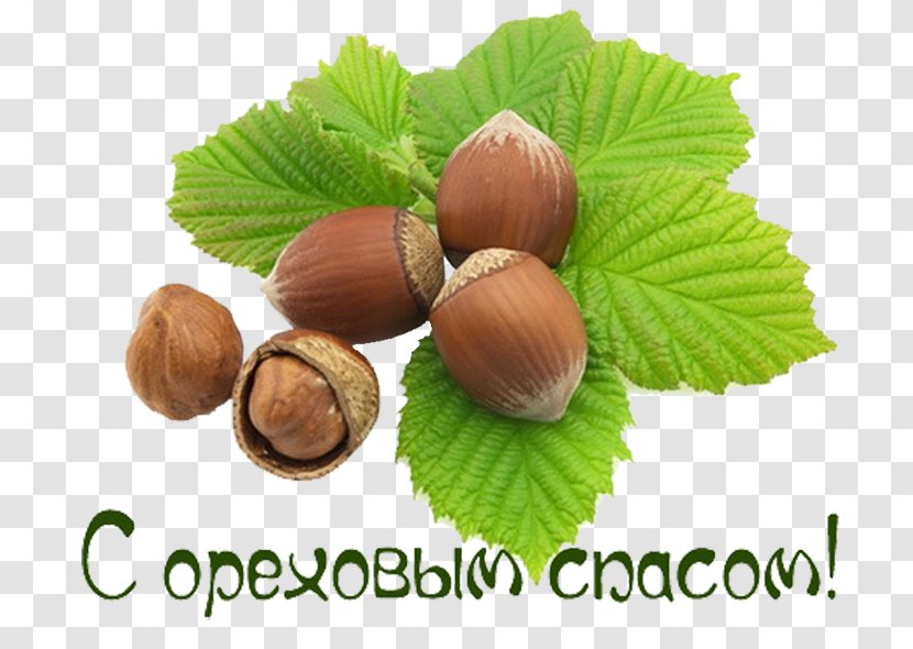 Bread Savior Day Of The Apple Feast Hazelnut Chestnut - Holiday Transparent PNG