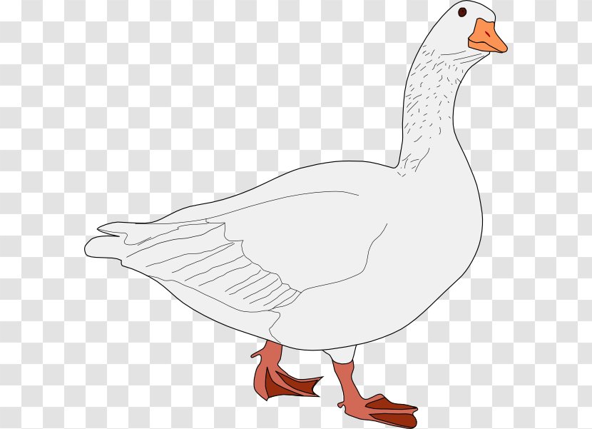 Canada Goose Bird Clip Art - Wing Transparent PNG