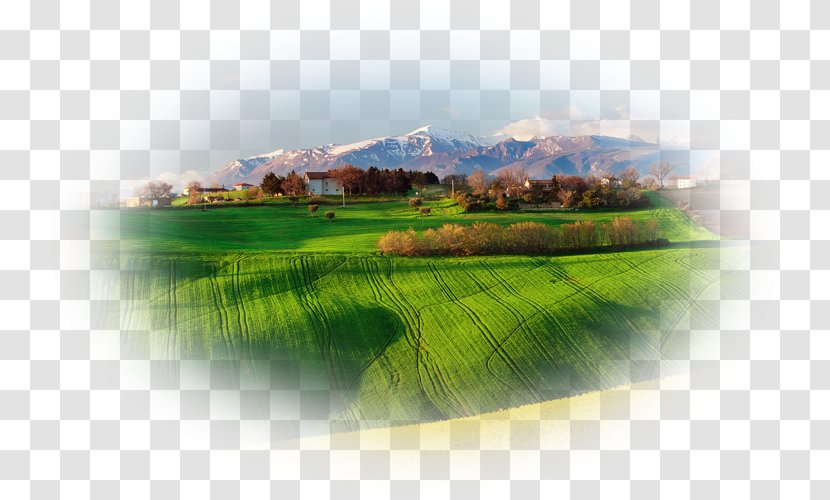Desktop Wallpaper Metaphor Landscape Environment Nature - Rural Area - Landscap Transparent PNG