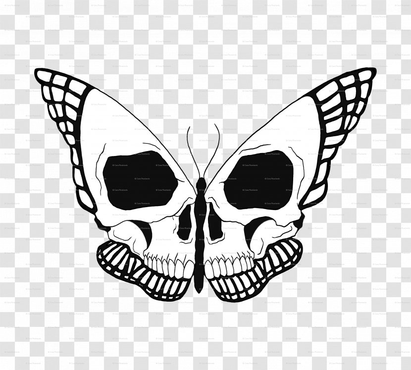 Butterfly Drawing Skull Image Design - Pencil Transparent PNG
