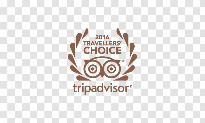 Hotel Travel TripAdvisor San Miguel De Allende Kiwis Nest - Resort - BBHHotel Transparent PNG