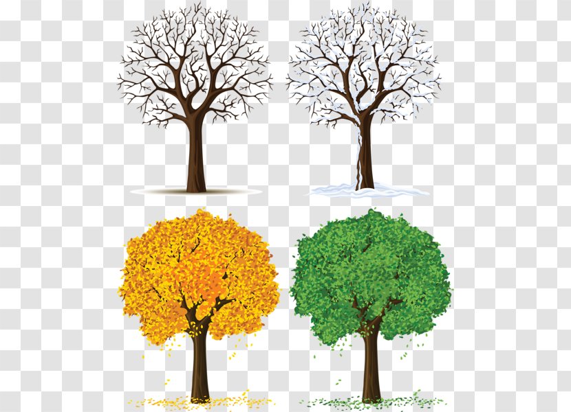 Tree Season Clip Art - Four Seasons Transparent Images Transparent PNG
