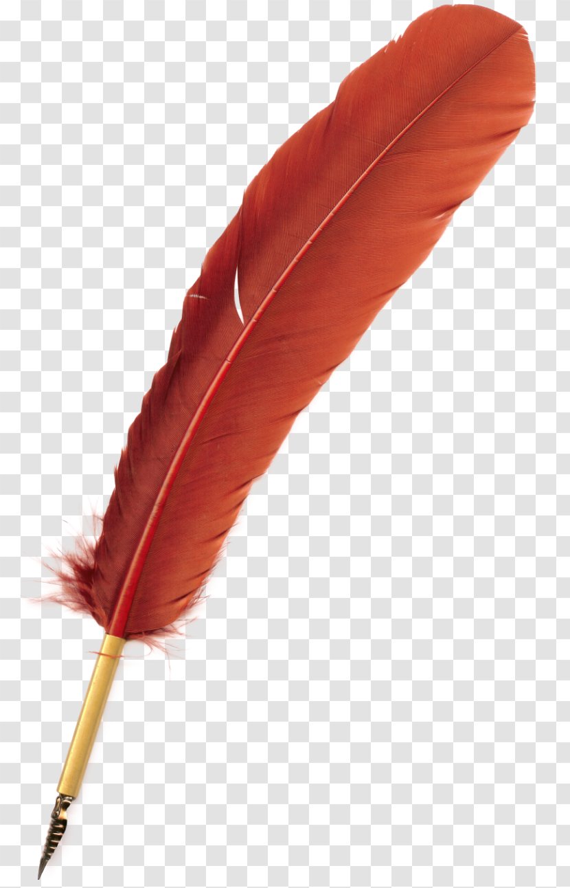 Bird Feather Quill Pen - Orange Transparent PNG