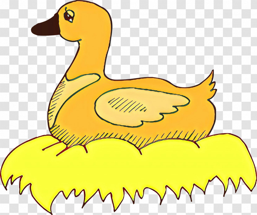 Bird Yellow Ducks, Geese And Swans Duck Beak Transparent PNG