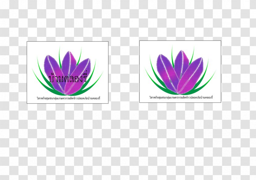 Petal Leaf Flowering Plant Font - Purple Transparent PNG