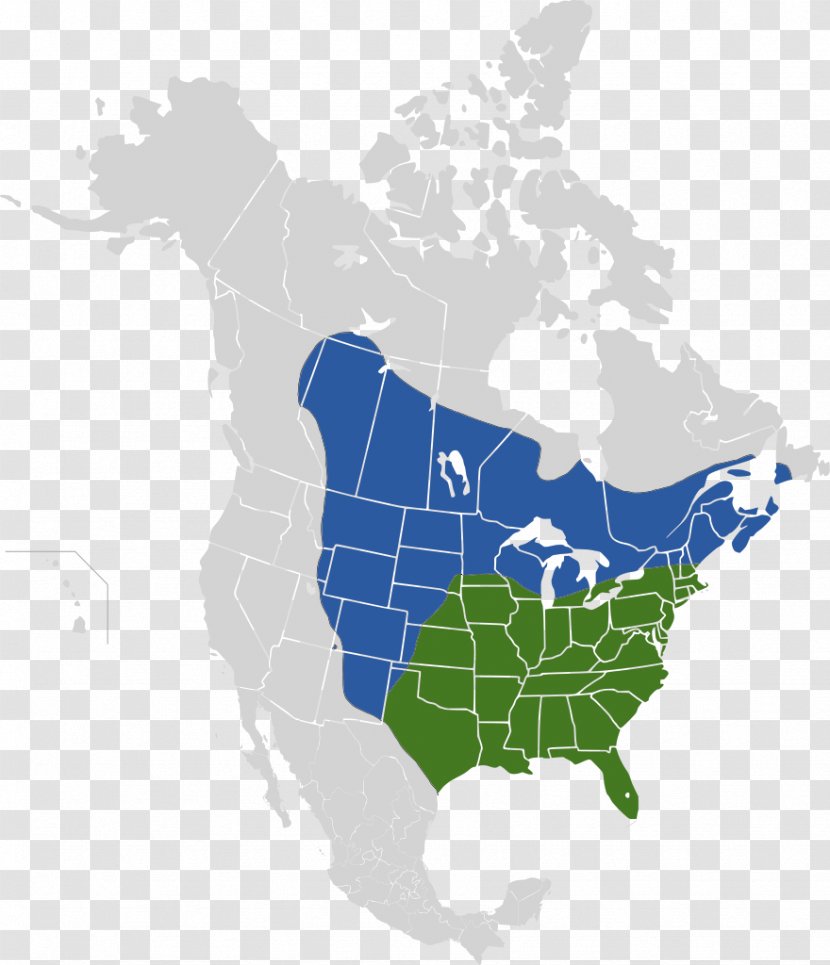 United States Of America Ecoregion Pacific Temperate Rainforests - Forest Transparent PNG