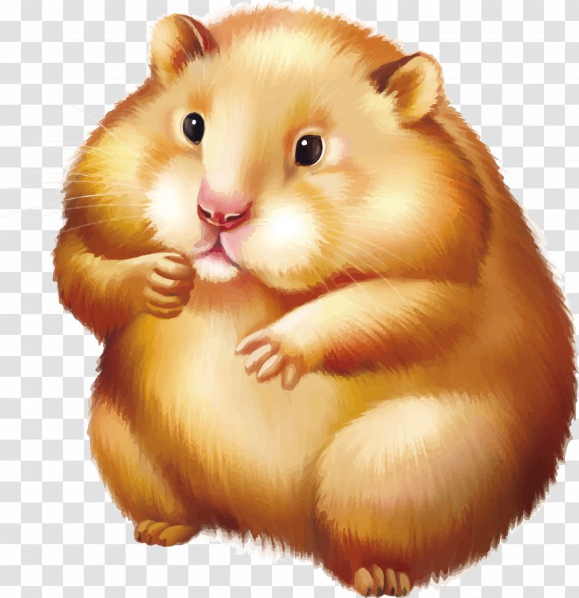 Golden Hamster Gerbil Mouse Stock Photography - Rat Transparent PNG