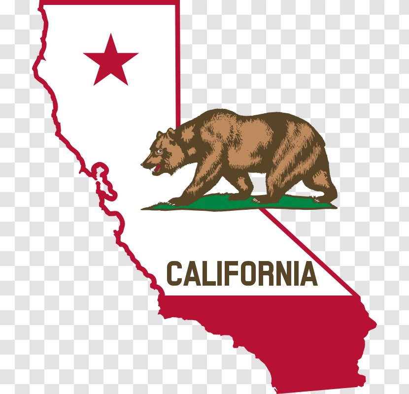 Governor Of California U.S. State Law Community Property - Bear Icons Transparent PNG
