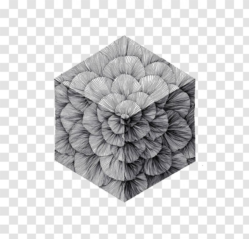 Drawing Art Illustration - Monochrome Photography - Decorative Cube Transparent PNG