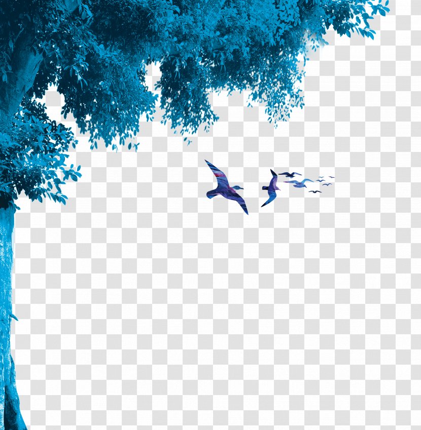 Paper Download Wallpaper - Blue - Dream Shadows Pigeons Transparent PNG