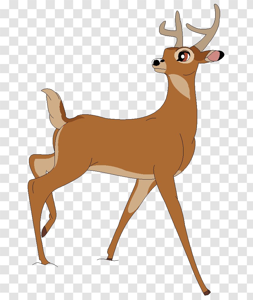 White-tailed Deer Faline Red - Fawn - Color Raindrop Transparent PNG