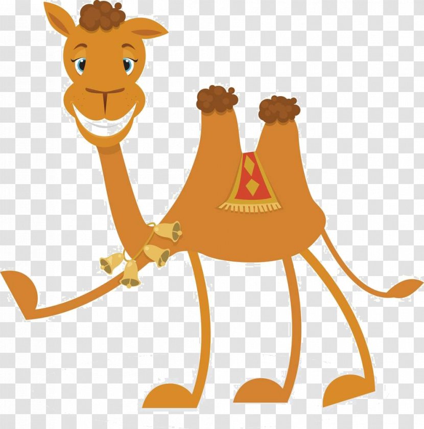 Bactrian Camel Dromedary Cartoon Clip Art - Giraffidae - Material Transparent PNG