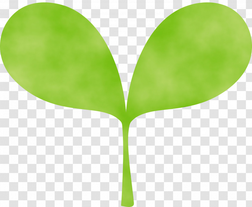 Green Leaf Plant Tree Plant Stem Transparent PNG