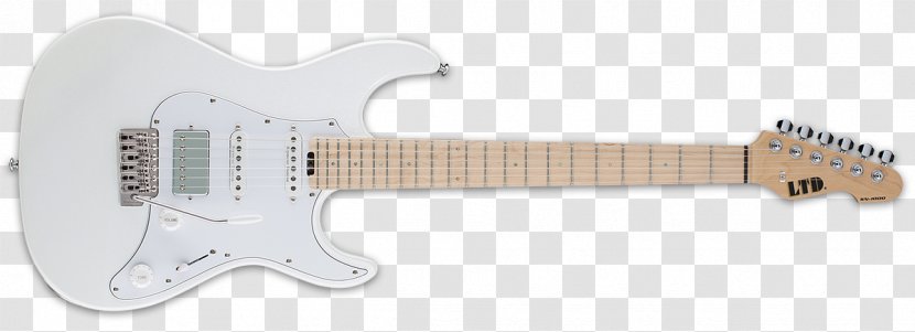 Fender Classic 50s Stratocaster American Professional Musical Instruments Corporation Electric Guitar - String Instrument Accessory Transparent PNG