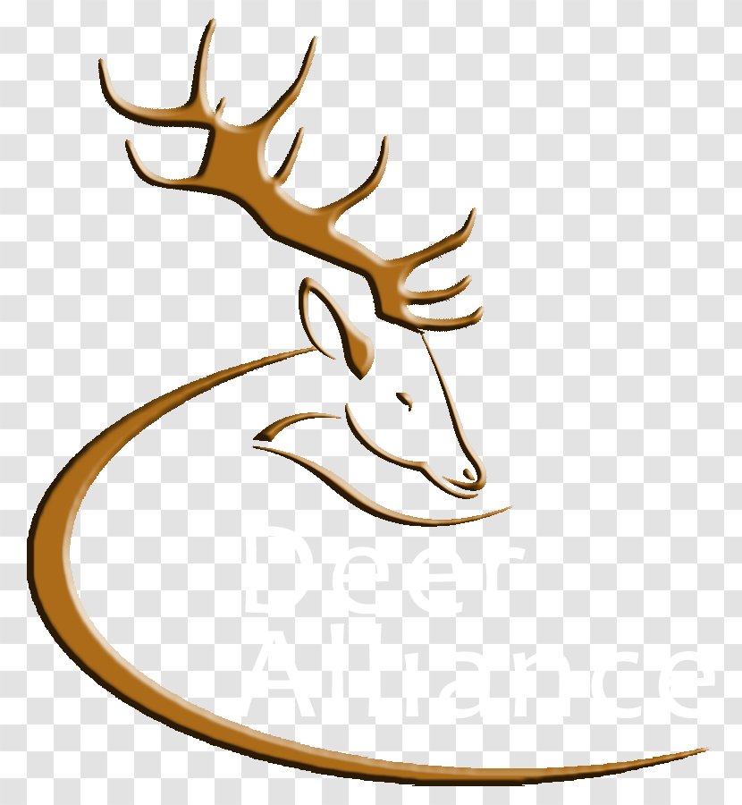 Deer Antler Wildlife Elk Clip Art - Logo - Horn Transparent PNG
