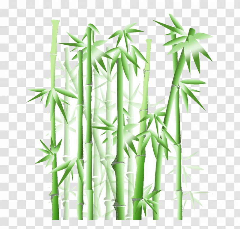Bamboo Wallpaper - Four Gentlemen - Green Transparent PNG