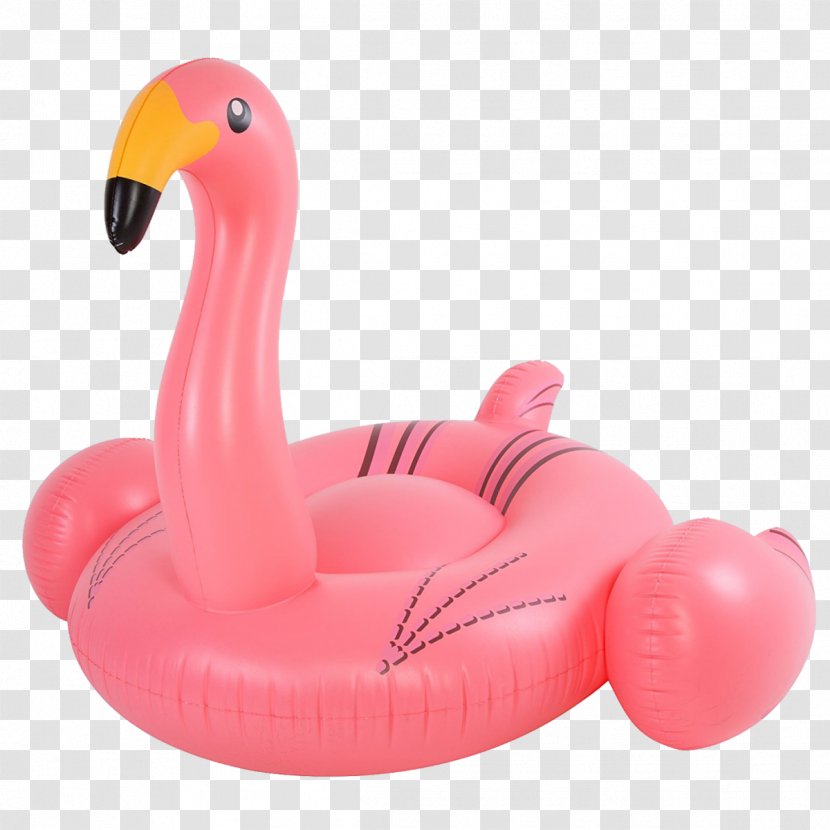 Flamingo Inflatable Bouncers Water Bird - Beach - Flamingos Transparent PNG