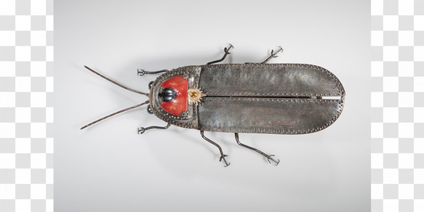 Beetle Firefly True Bugs Pest Light - Lightning Bug Transparent PNG