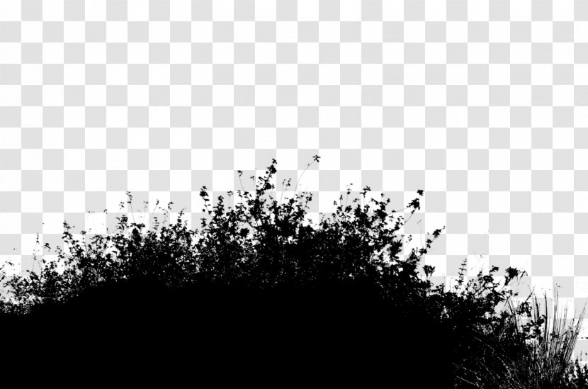 Desktop Wallpaper Silhouette Stock Photography Computer - Monochrome - Atmosphere Transparent PNG
