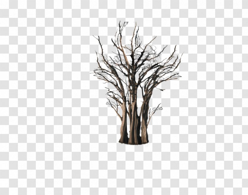 Tree Trunk Root Branch - Floating Transparent PNG