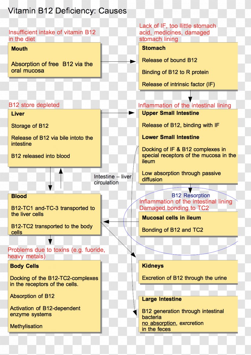 Document Line - Area Transparent PNG