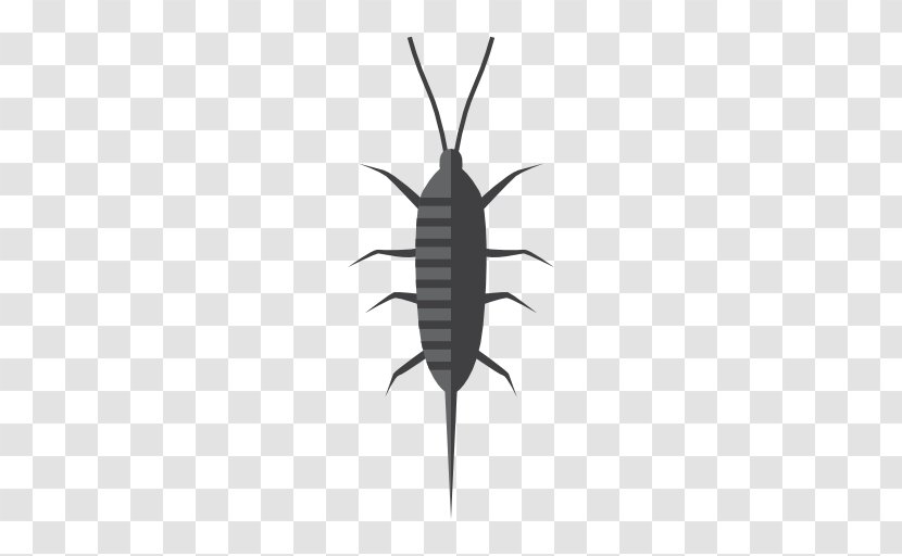 Insect Silverfish Pest Cockroach Termite - Mouse Transparent PNG