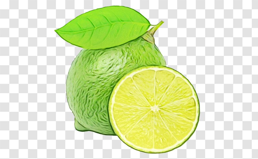 Persian Lime Key Green Citrus - Fruit Plant Transparent PNG