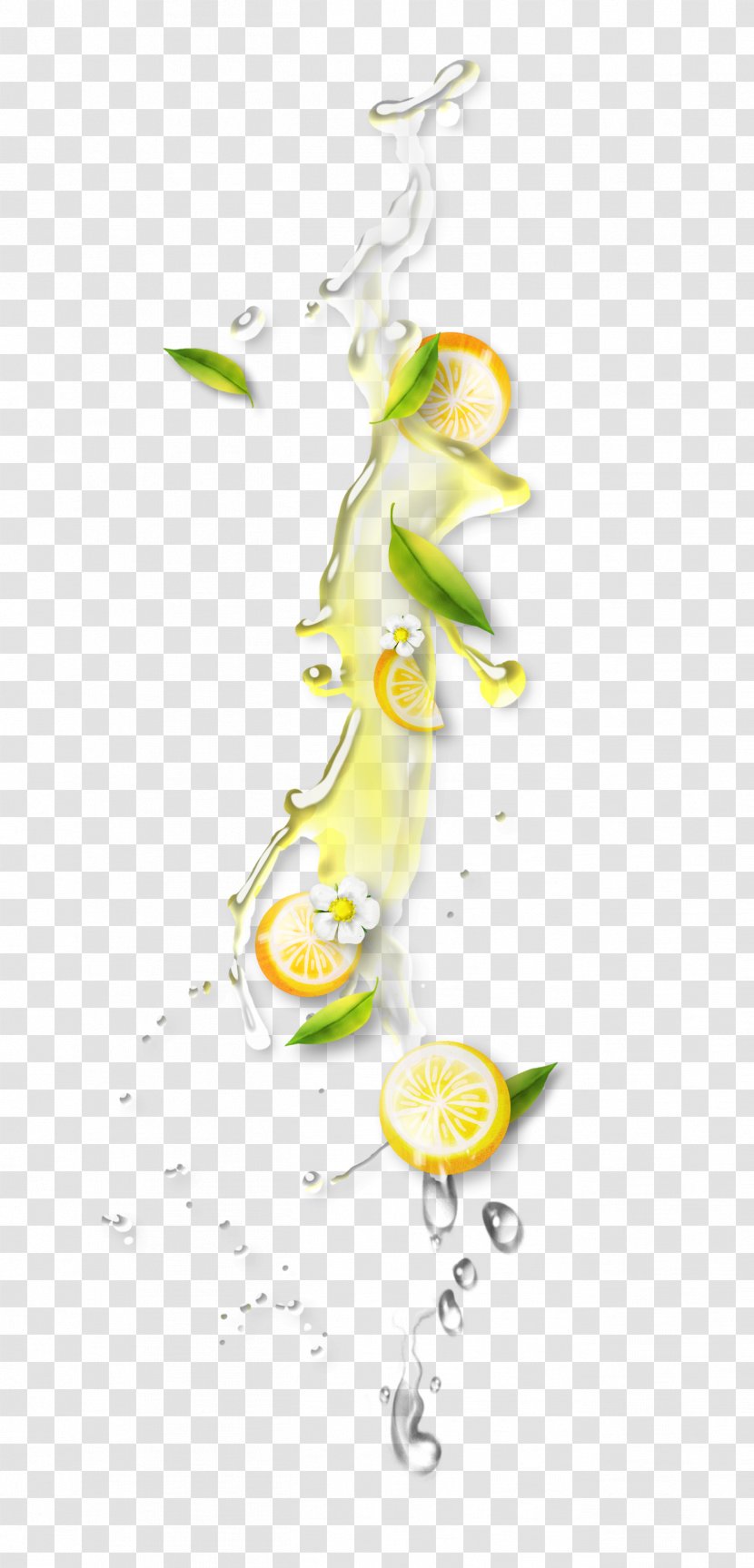 Orange Juice - Splash Of Transparent PNG