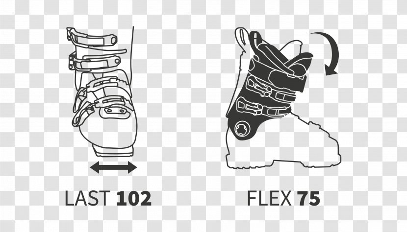 Shoe Skiing Ski Boots Footwear - Cartoon - Europe Female Models Transparent PNG