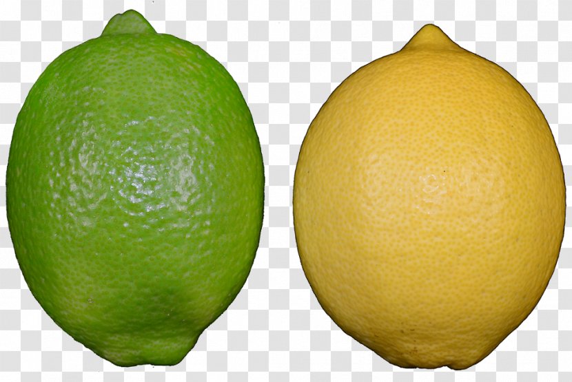 Persian Lime Lemon-lime Drink Key - Citric Acid - Lemon Transparent PNG