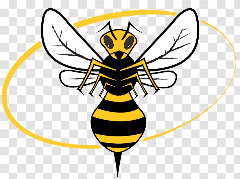 Western Honey Bee Hornet Clip Art - Wasp Transparent PNG