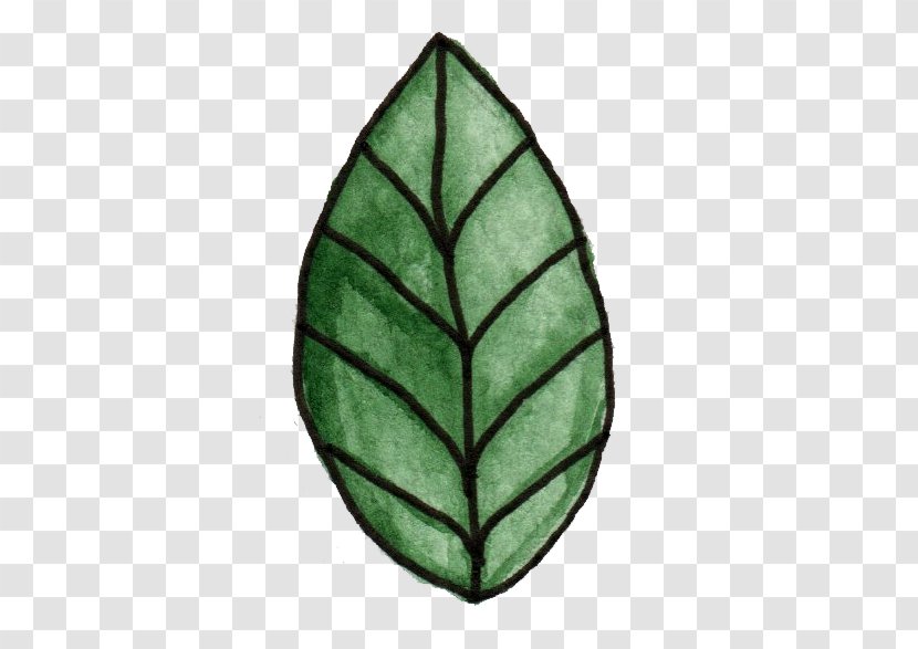 Cartoon Drawing - Leaves Transparent PNG