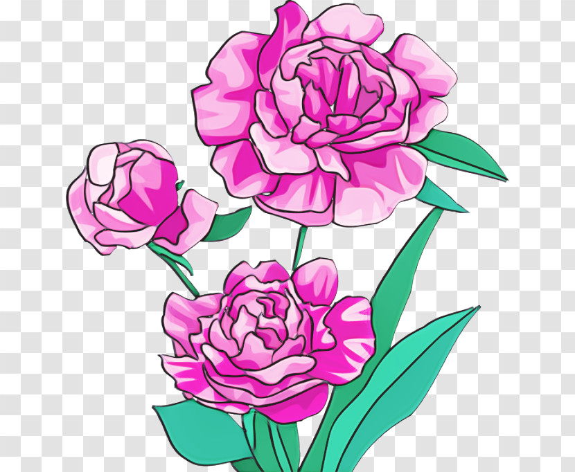 Floral Design Transparent PNG