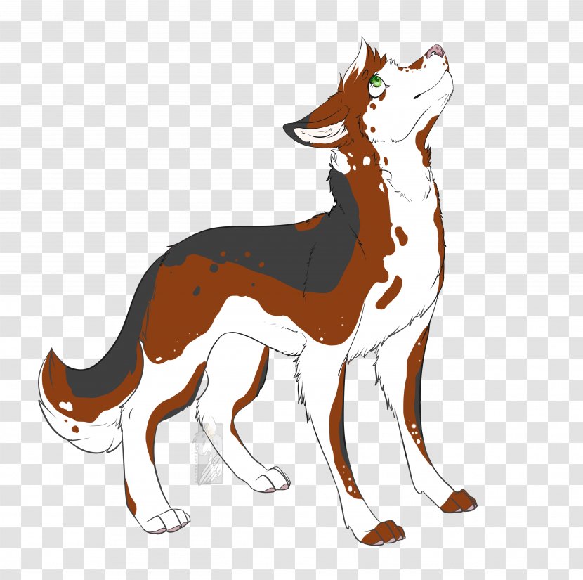 Dog Breed Red Fox Cat Mammal - Like Transparent PNG