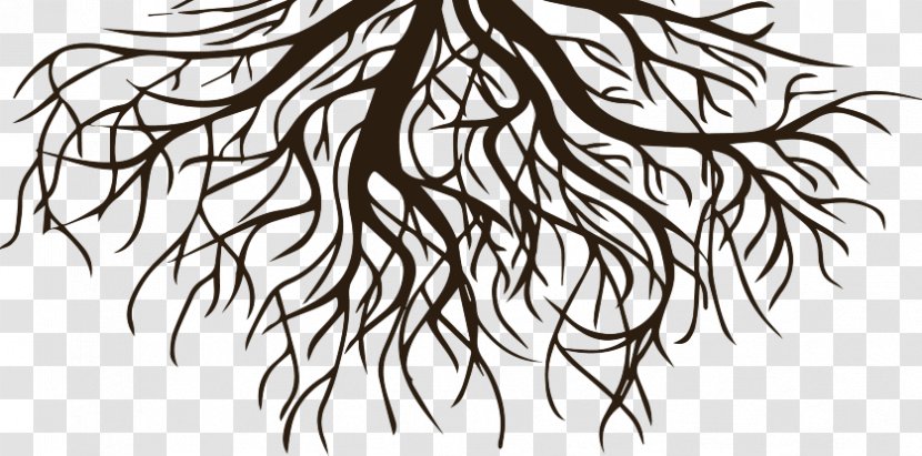 Drawing Clip Art Root Vector Graphics Tree - Leaf - Black And White Roots Transparent PNG
